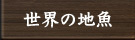 店舗のご紹介