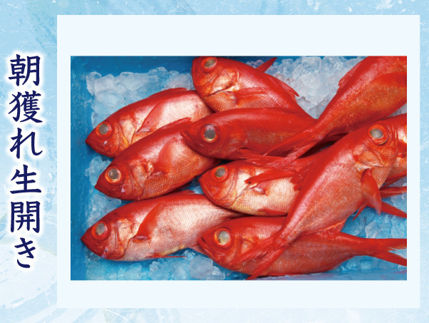 朝獲れ生ひらき