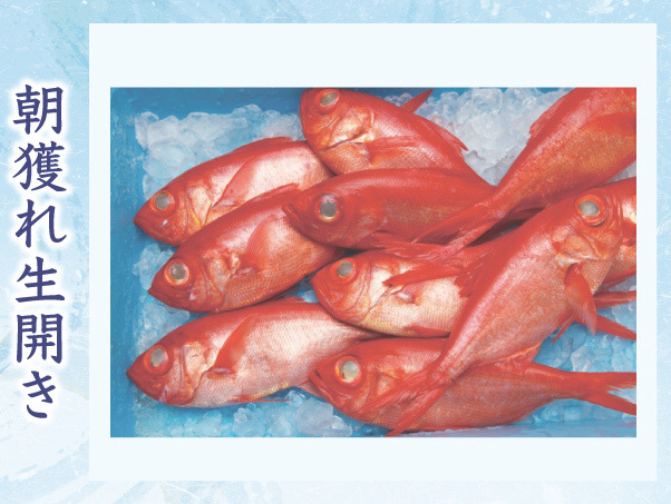 朝獲れ生ひらき