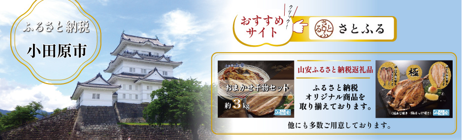 小田原市ふるさと納税 さとふる 山安干物ふるさと納税返礼品