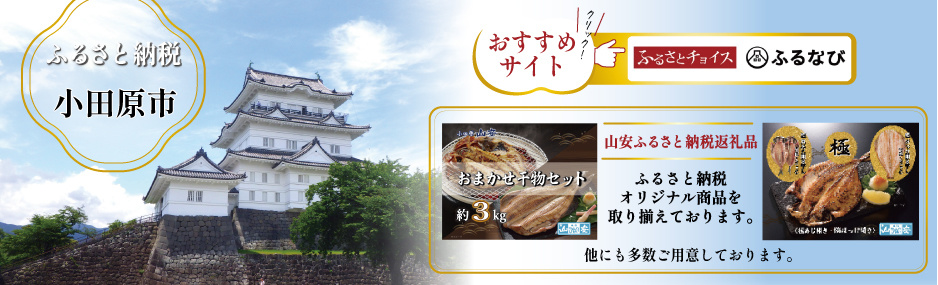 小田原市ふるさと納税　ふるなび　山安干物ふるさと納税返礼品