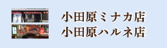小田原ハルネ店