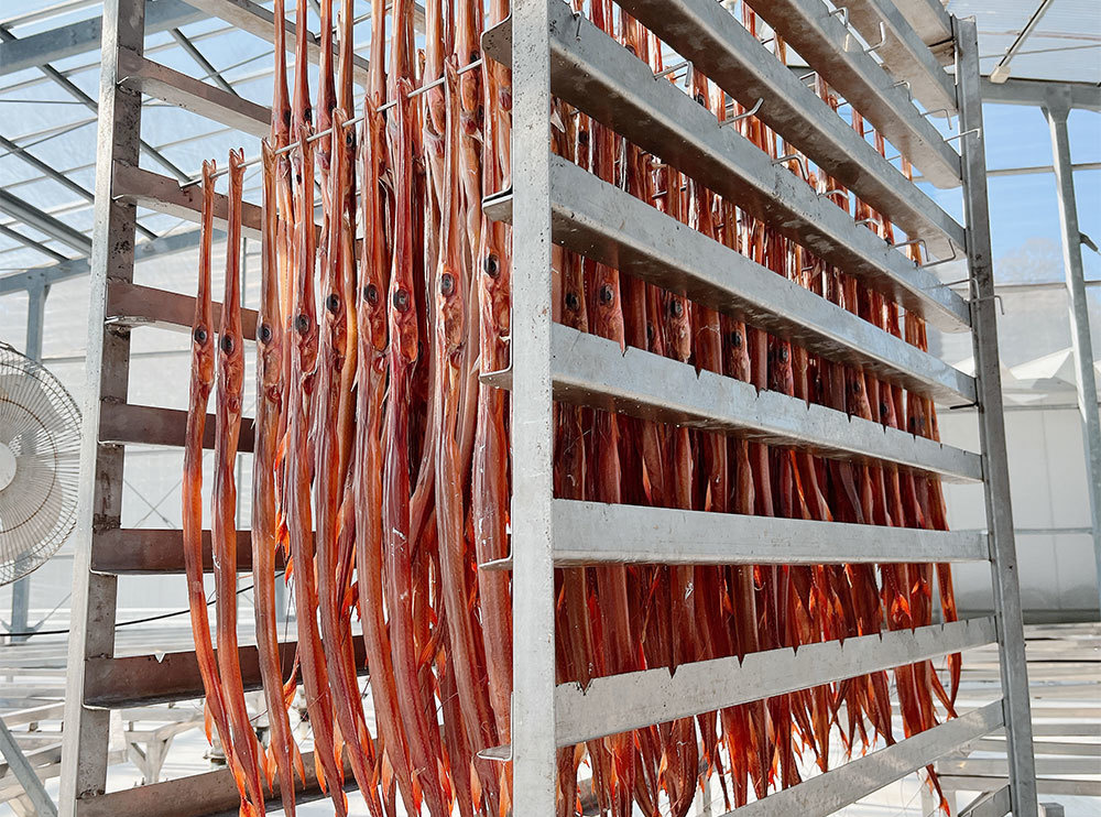 小田原産ヤガラ