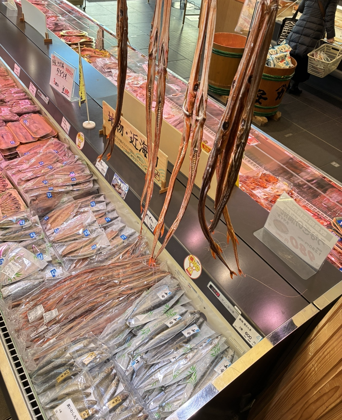 小田原産ヤガラ