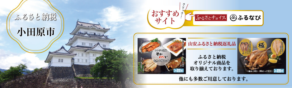 ふるさと納税ベストチョイスふるなび